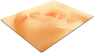 F38.png