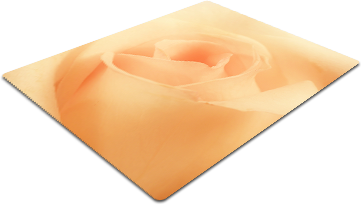 F38.png