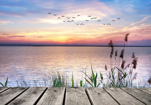 FOTOTAPETA DO SALONU SYPIALNI JEZIORO STAW NATURA