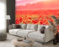 FOTOTAPETA DO SALONU SYPIALNI MAKOWE POLE MAKI