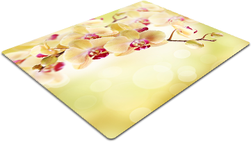 F42.png
