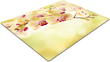 F42.png