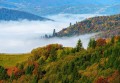 FOTOTAPETA DO SALONU SYPIALNI GÓRY LAS MGŁA NATURA