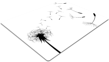 F44.png