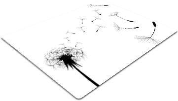 F44.png