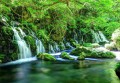 FOTOTAPETA DO SALONU SYPIALNI ZIELEŃ WODOSPADY LAS NATURA