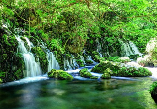 FOTOTAPETA DO SALONU SYPIALNI ZIELEŃ WODOSPADY LAS NATURA
