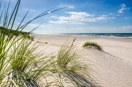 FOTOTAPETA DO SALONU SYPIALNI PLAŻA NATURA MORZE PIASEK