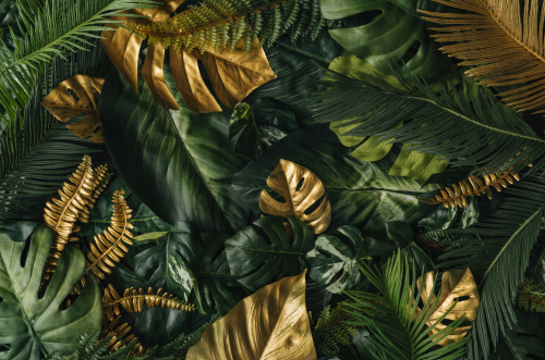 FOTOTAPETA DO SALONU SYPIALNI LIŚCIE MONSTERY ZŁOTA MONSTERA