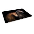 Podłogowa mata winylowa pod fotel krzesło KONIE KOŃ
