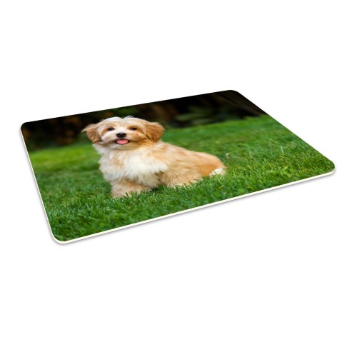 Podłogowa mata winylowa pod fotel krzesło PIESEK PIES