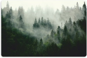 PODKŁADKA OCHRONNA pod miskę legowisko dla psa kota DRZEWA LAS MGŁA