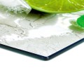Hartowana osłona płyty indukcyjnej ze szkła do kuchni ZIELONE LIMONKI