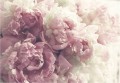 FOTOTAPETA PIWONIE KWIATY DO SALONU SYPIALNI PIWONIE PASTELOWE KWIATY PEONIA