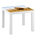Naklejka laminowana na STOLIK IKEA LACK LEW NATURA