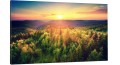 Obraz Bieszczady Góry Las na płótnie canvas