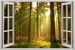 Naklejki na ścianę 3D okno z widokiem las słońce drzewa natura