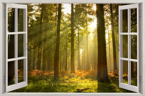 Naklejki na ścianę 3D okno z widokiem las słońce drzewa natura