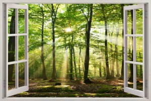 Naklejki na ścianę okno z widokiem zielony las słońce drzewa