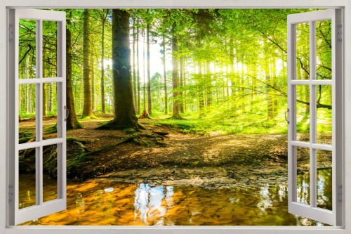 Naklejki na ścianę 3D okno z widokiem las drzewa słońce natura
