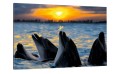 obraz do salonu sypialni na płótnie canvas Delfiny Delfin
