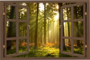 Naklejki na ścianę okno z widokiem las słońce drzewa natura 
