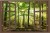 75 min.jpg