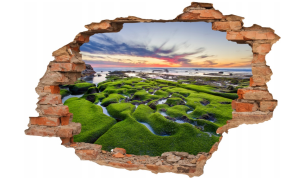 FOTOTAPETA 3D SAMOPRZYLEPNA naklejka na ścianę 3D zielone wybrzeże zachód
