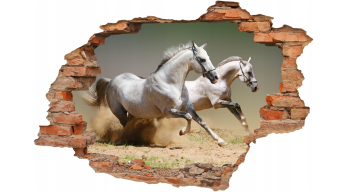 FOTOTAPETA 3D SAMOPRZYLEPNA naklejka dziura w ścianie GALOP BIAŁE KONIE 
