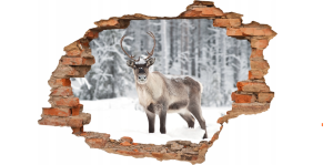 FOTOTAPETA 3D SAMOPRZYLEPNA naklejka dziura w ścianie LAS RENIFER ZIMA