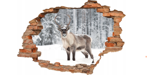 FOTOTAPETA 3D SAMOPRZYLEPNA naklejka dziura w ścianie LAS RENIFER ZIMA