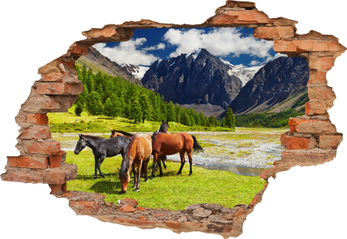 FOTOTAPETA 3D SAMOPRZYLEPNA naklejka dziura w ścianie POLANA KONIE STADO