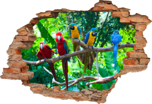FOTOTAPETA 3D SAMOPRZYLEPNA naklejka dekoracyjna ścienna PAPUSZKI PAPUGI