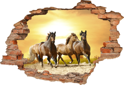 FOTOTAPETA 3D SAMOPRZYLEPNA naklejka ścienna dziura w ścianie KONIE GALOP