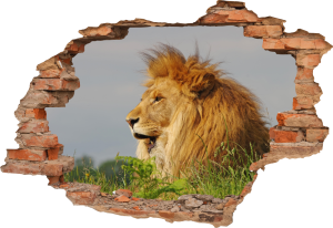 FOTOTAPETA 3D SAMOPRZYLEPNA naklejka ścienna LEW KRÓL DŻUNGI