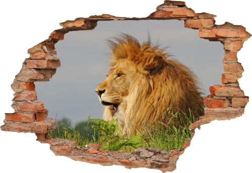 FOTOTAPETA 3D SAMOPRZYLEPNA naklejka ścienna LEW KRÓL DŻUNGI