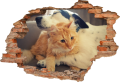 FOTOTAPETA 3D SAMOPRZYLEPNA naklejka ścienna PIES I KOT 