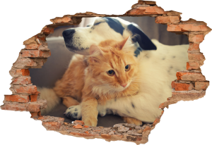 FOTOTAPETA 3D SAMOPRZYLEPNA naklejka ścienna PIES I KOT 