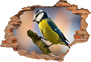 FOTOTAPETA 3D SAMOPRZYLEPNA naklejka dziura w ścianie SIKORKA PTAK 