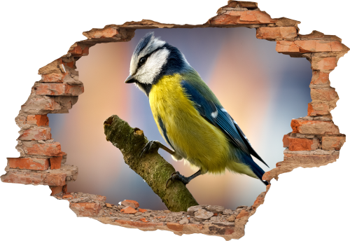 FOTOTAPETA 3D SAMOPRZYLEPNA naklejka dziura w ścianie SIKORKA PTAK 