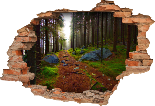 FOTOTAPETA 3D SAMOPRZYLEPNA naklejka dekoracyjna DRZEWA NATURA LAS DROGA