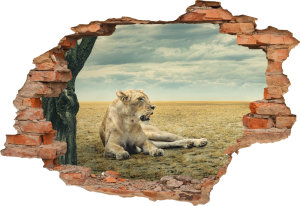FOTOTAPETA 3D SAMOPRZYLEPNA naklejka dziura w ścianie LEW PUSTYNIA