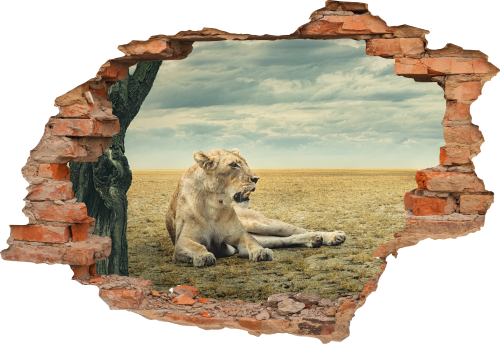 FOTOTAPETA 3D SAMOPRZYLEPNA naklejka dziura w ścianie LEW PUSTYNIA