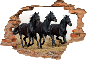 FOTOTAPETA 3D SAMOPRZYLEPNA naklejka na ścianę dekoracyjna CZARNE KONIE