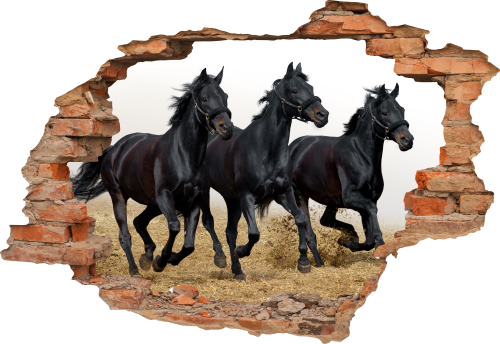 FOTOTAPETA 3D SAMOPRZYLEPNA naklejka na ścianę dekoracyjna CZARNE KONIE