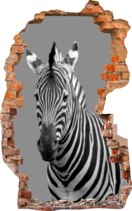 FOTOTAPETA 3D SAMOPRZYLEPNA naklejka ścienna ZEBRA