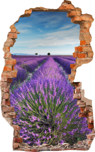 FOTOTAPETA 3D SAMOPRZYLEPNA naklejka ścienna KWIATY