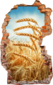 FOTOTAPETA 3D SAMOPRZYLEPNA naklejka ścienna ZBOŻE