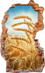 FOTOTAPETA 3D SAMOPRZYLEPNA naklejka ścienna ZBOŻE