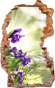 FOTOTAPETA 3D SAMOPRZYLEPNA naklejka ścienna FIOLETOWE KWIATY